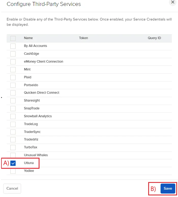 Pasting IBKR connection tokens into the IBviz signup screen